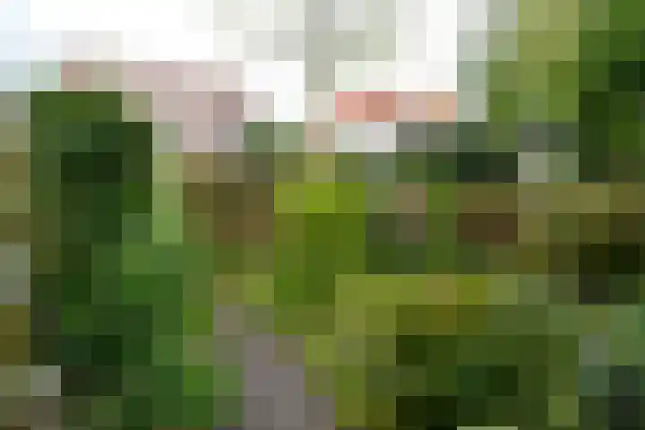 Zwarteweg 27 Bussum thumbnail 37
