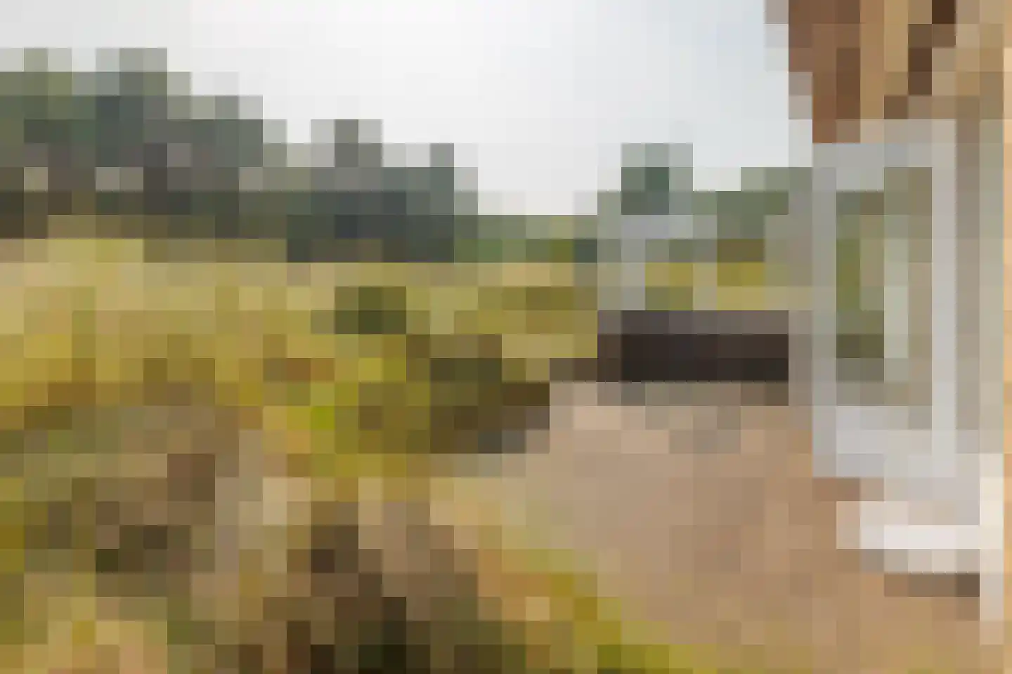 Zwarteweg 28 Buren thumbnail 22