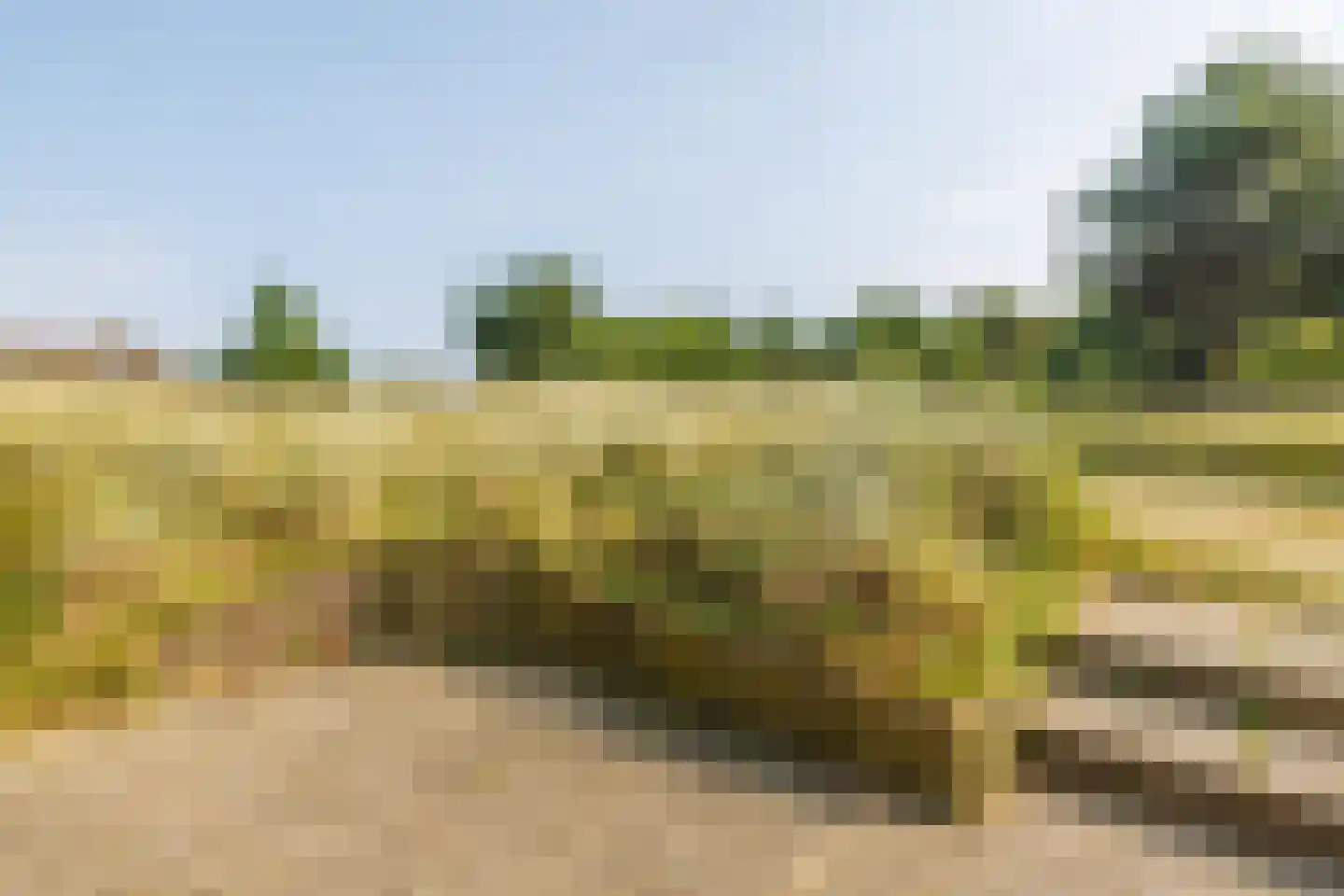 Zwarteweg 28 Buren thumbnail 23