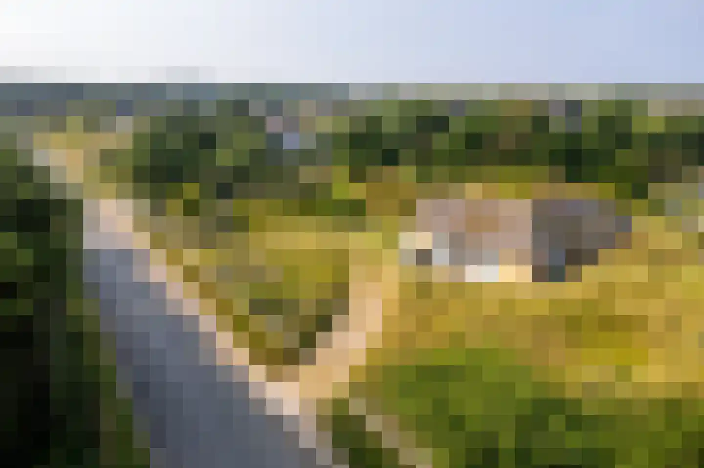 Zwarteweg 28 Buren thumbnail 30