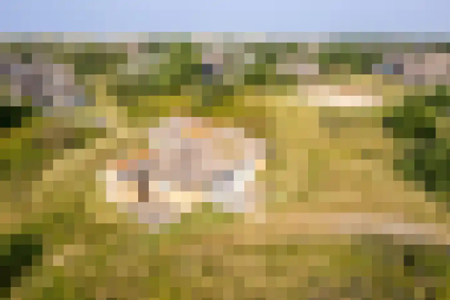 Zwarteweg 28 Buren thumbnail 31