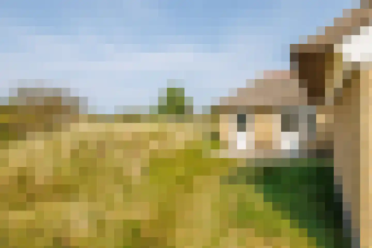 Zwarteweg 28 Buren thumbnail 34