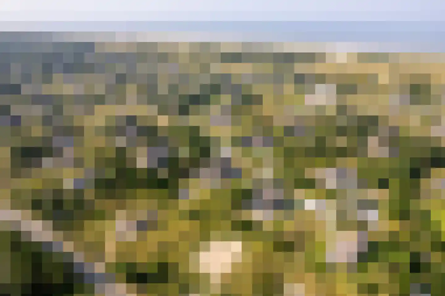Zwarteweg 28 Buren thumbnail 36