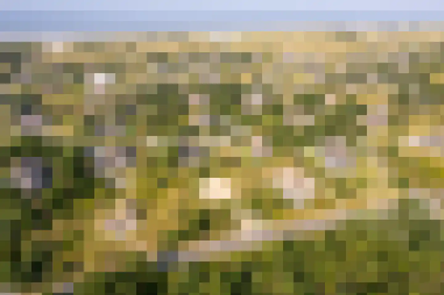 Zwarteweg 28 Buren thumbnail 37
