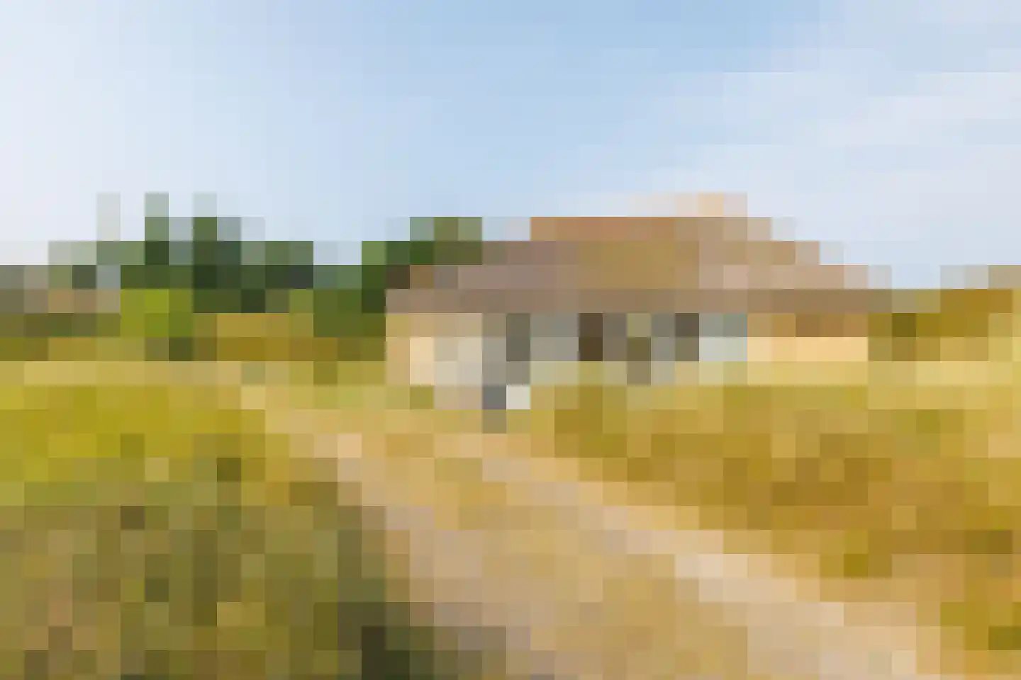 Zwarteweg 28 Buren thumbnail 4