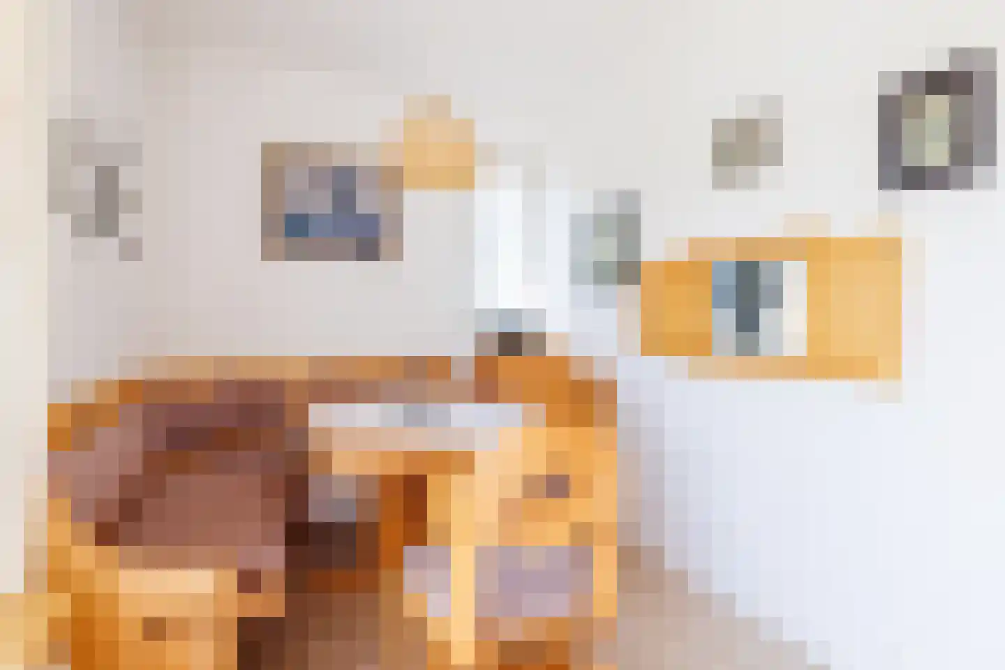 Zwarteweg 28 Buren thumbnail 9