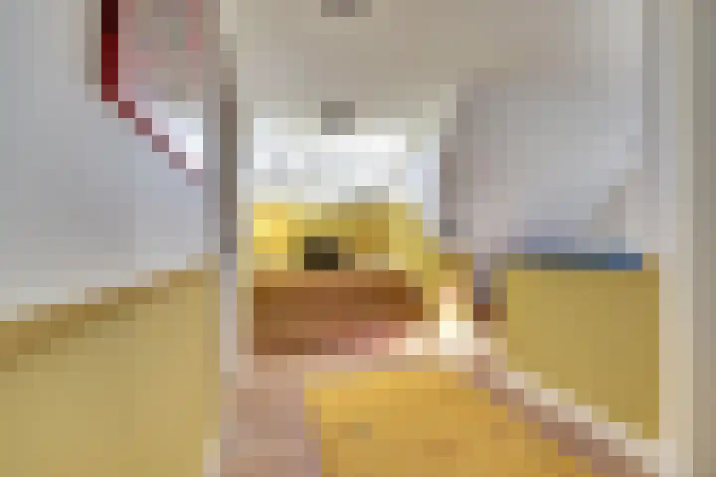 Zwarteweg 3 G Waddinxveen thumbnail 33