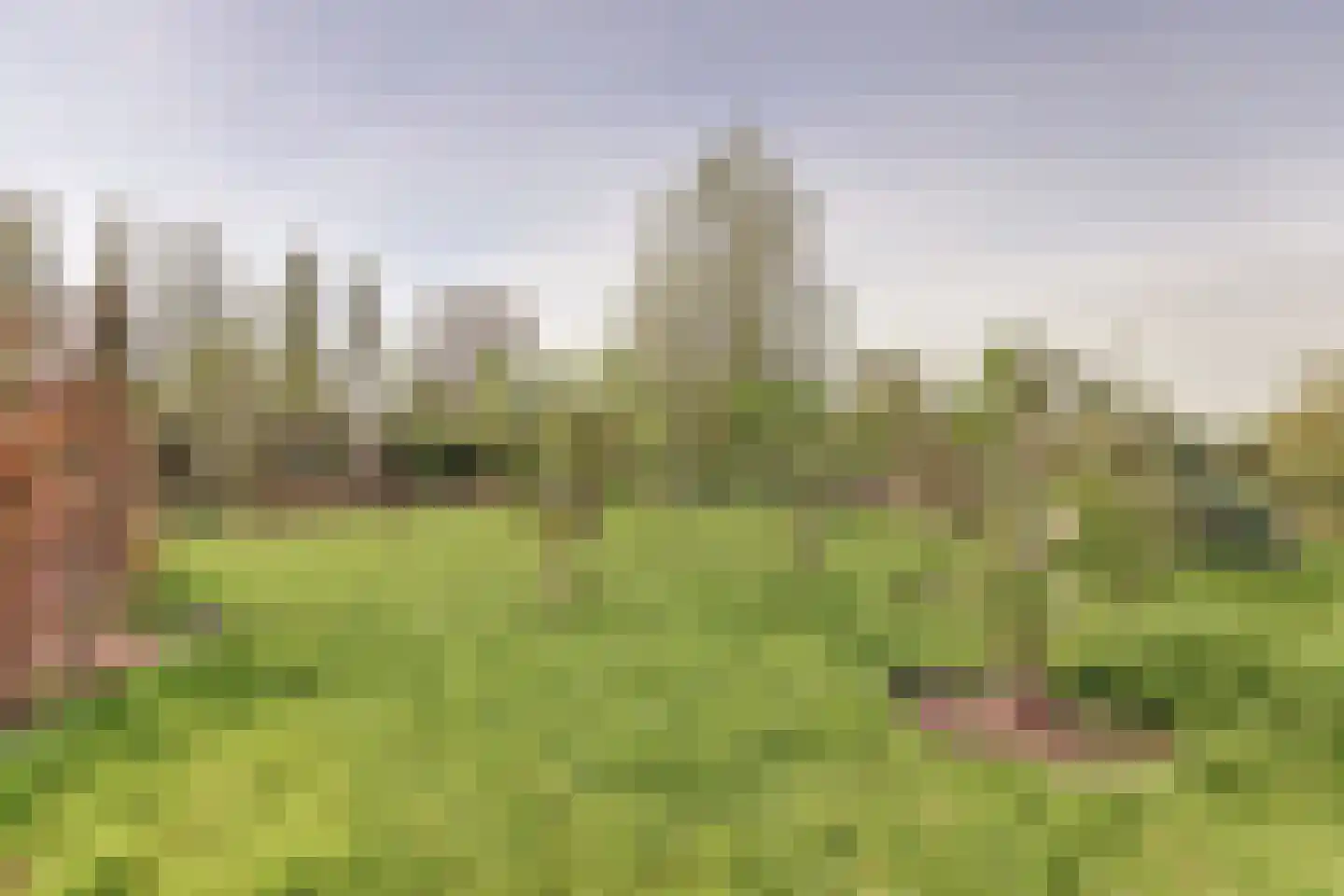 Zwarteweg 3 G Waddinxveen thumbnail 60