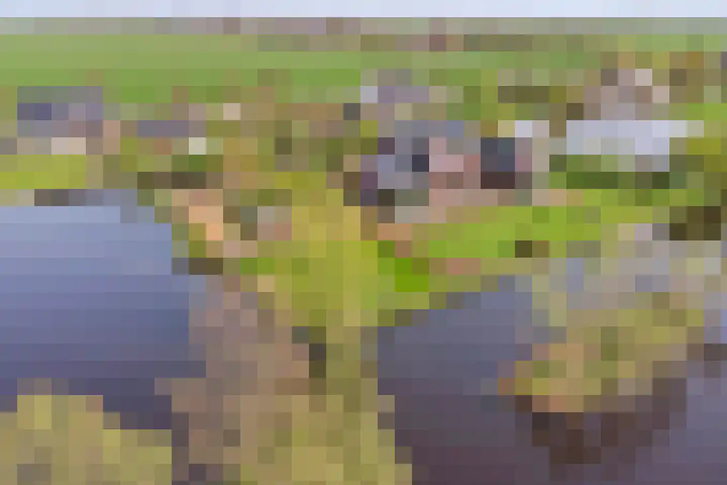 Zwarteweg 3 G Waddinxveen thumbnail 64