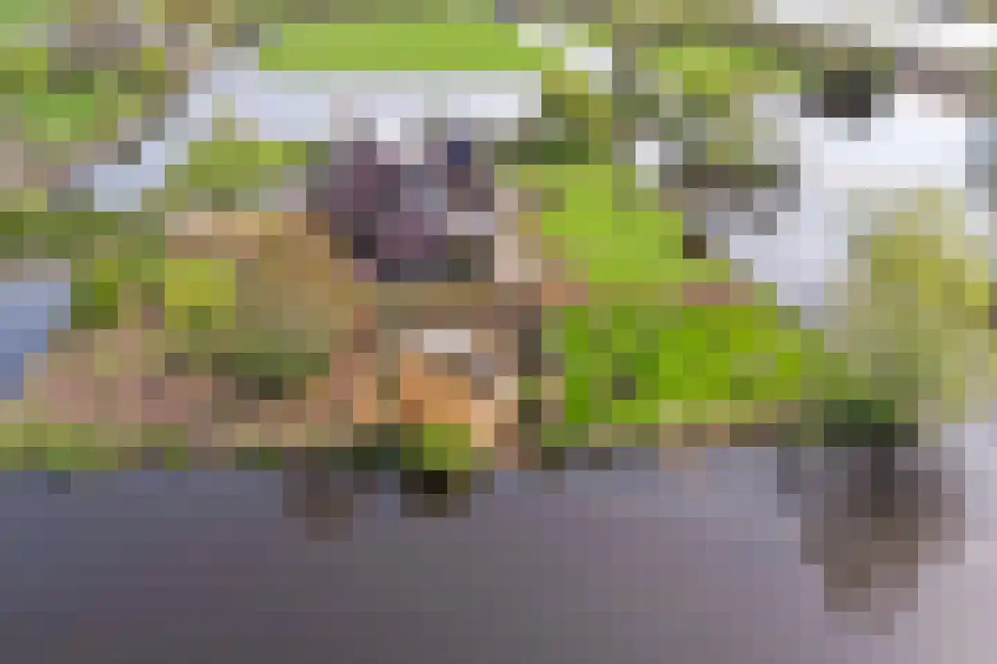 Zwarteweg 3 G Waddinxveen thumbnail 65