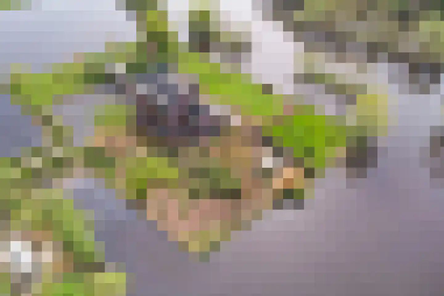 Zwarteweg 3 G Waddinxveen thumbnail 67
