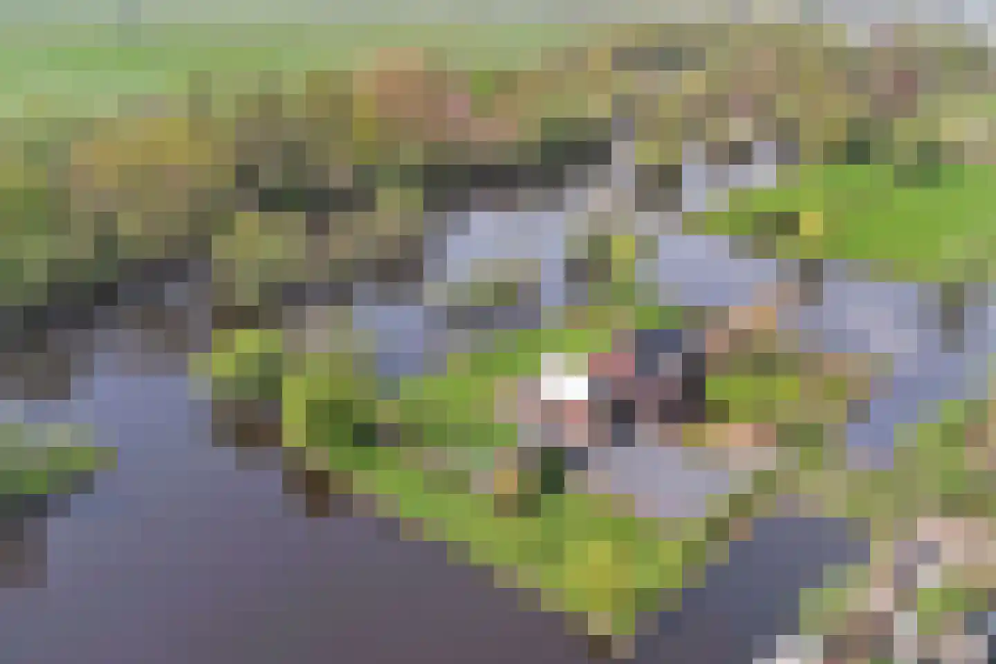 Zwarteweg 3 G Waddinxveen thumbnail 69