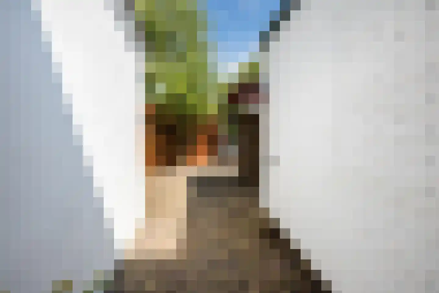 Zwarteweg 3 Zwolle thumbnail 37