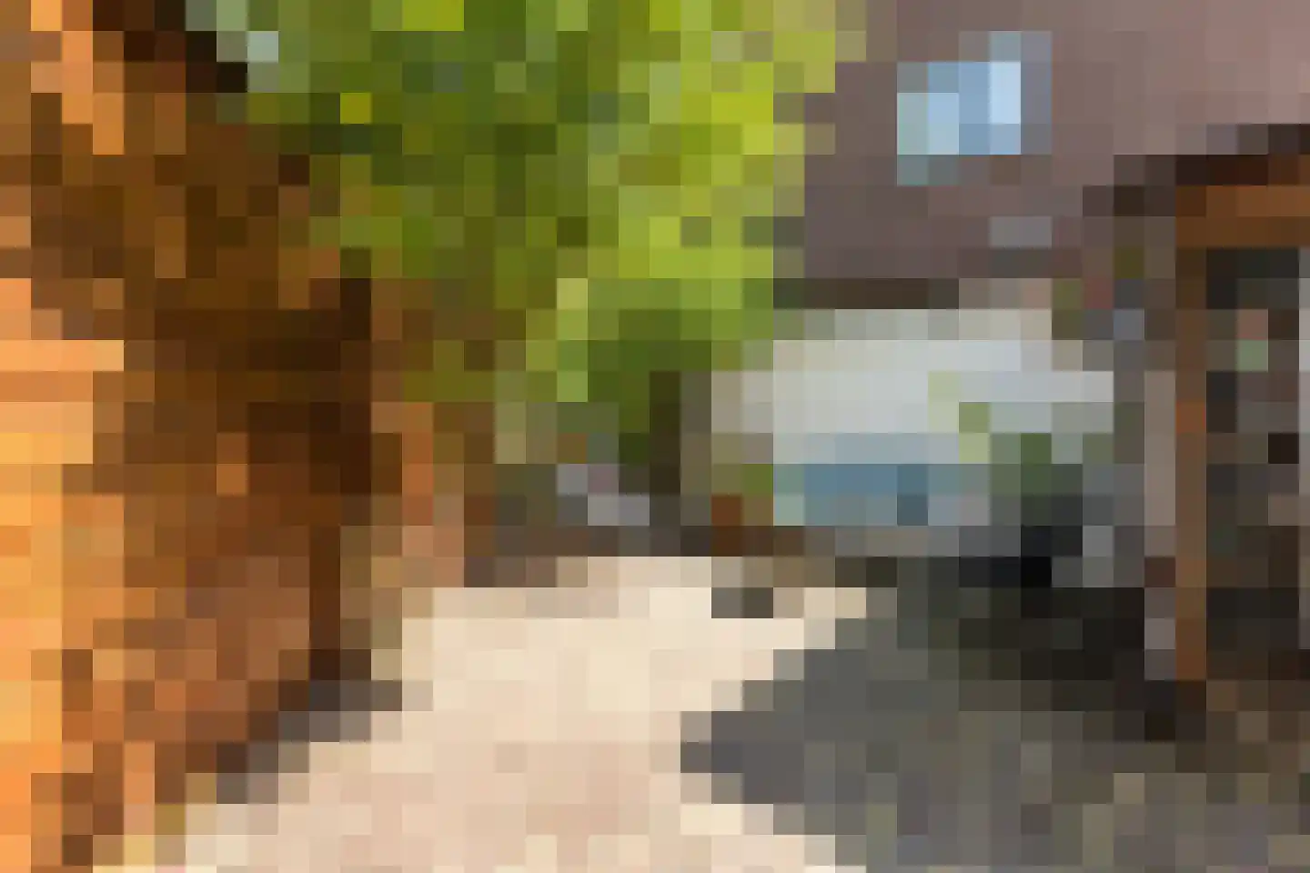 Zwarteweg 3 Zwolle thumbnail 38