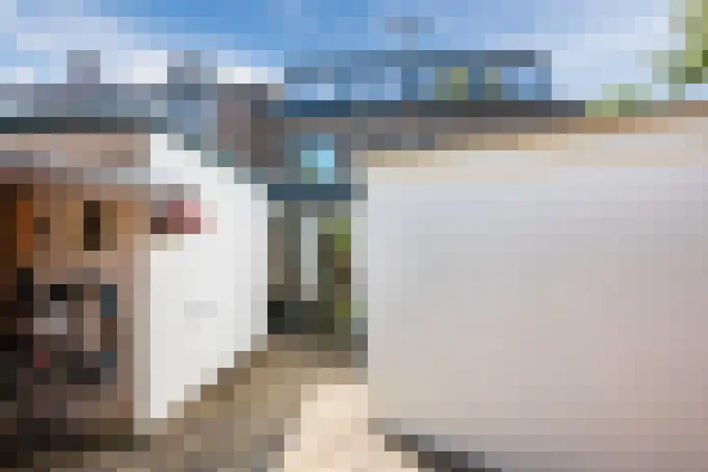 Zwarteweg 3 Zwolle thumbnail 41