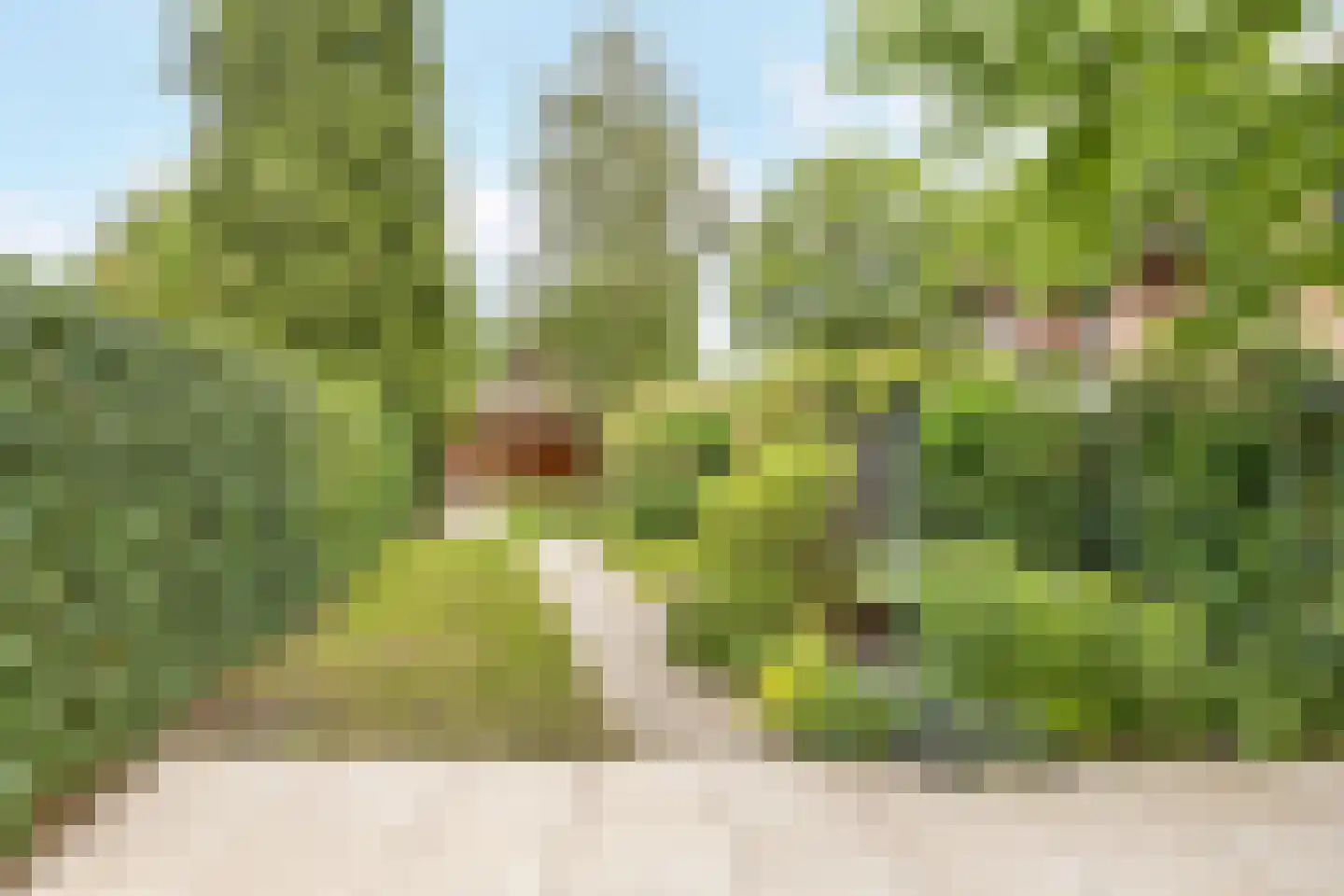 Zwarteweg 33 Bussum thumbnail 4