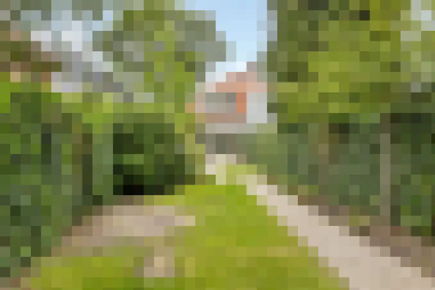 Zwarteweg 33 Bussum thumbnail 5