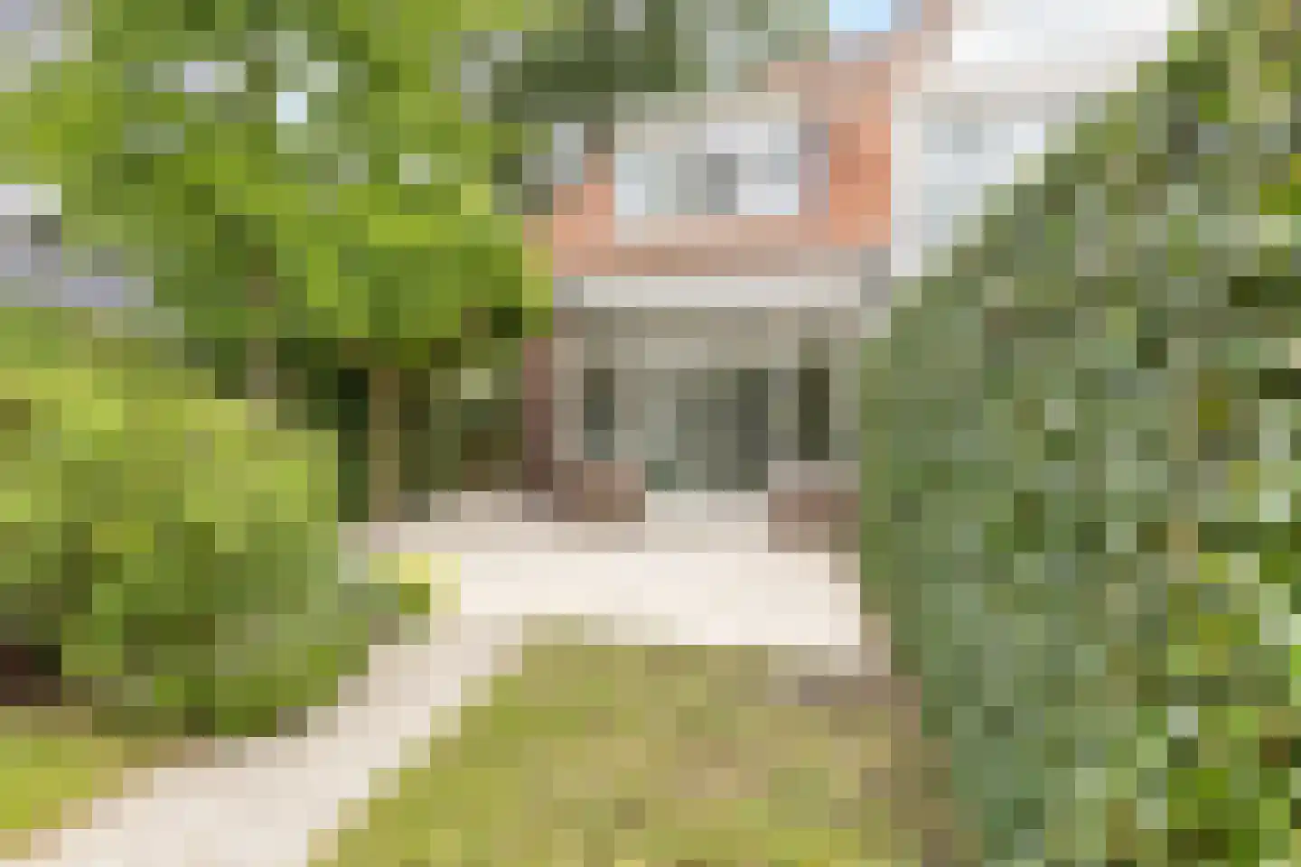Zwarteweg 33 Bussum thumbnail 6