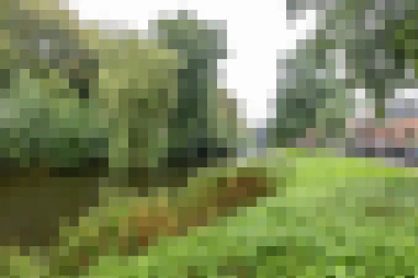 Zwarteweg 37 Groningen thumbnail 42