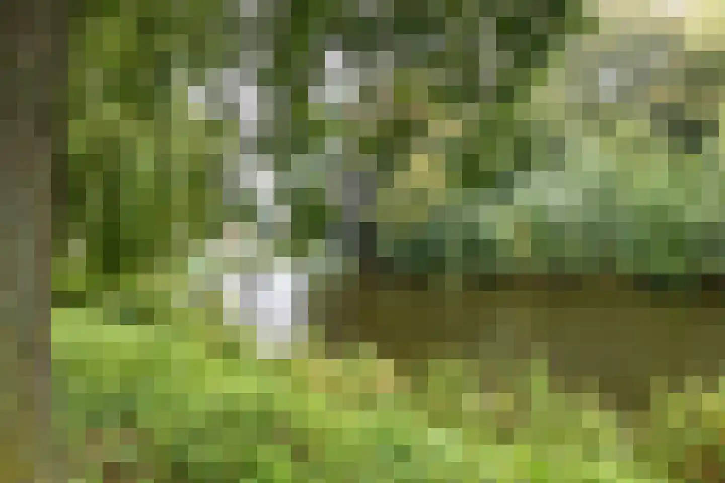 Zwarteweg 37 Groningen thumbnail 43