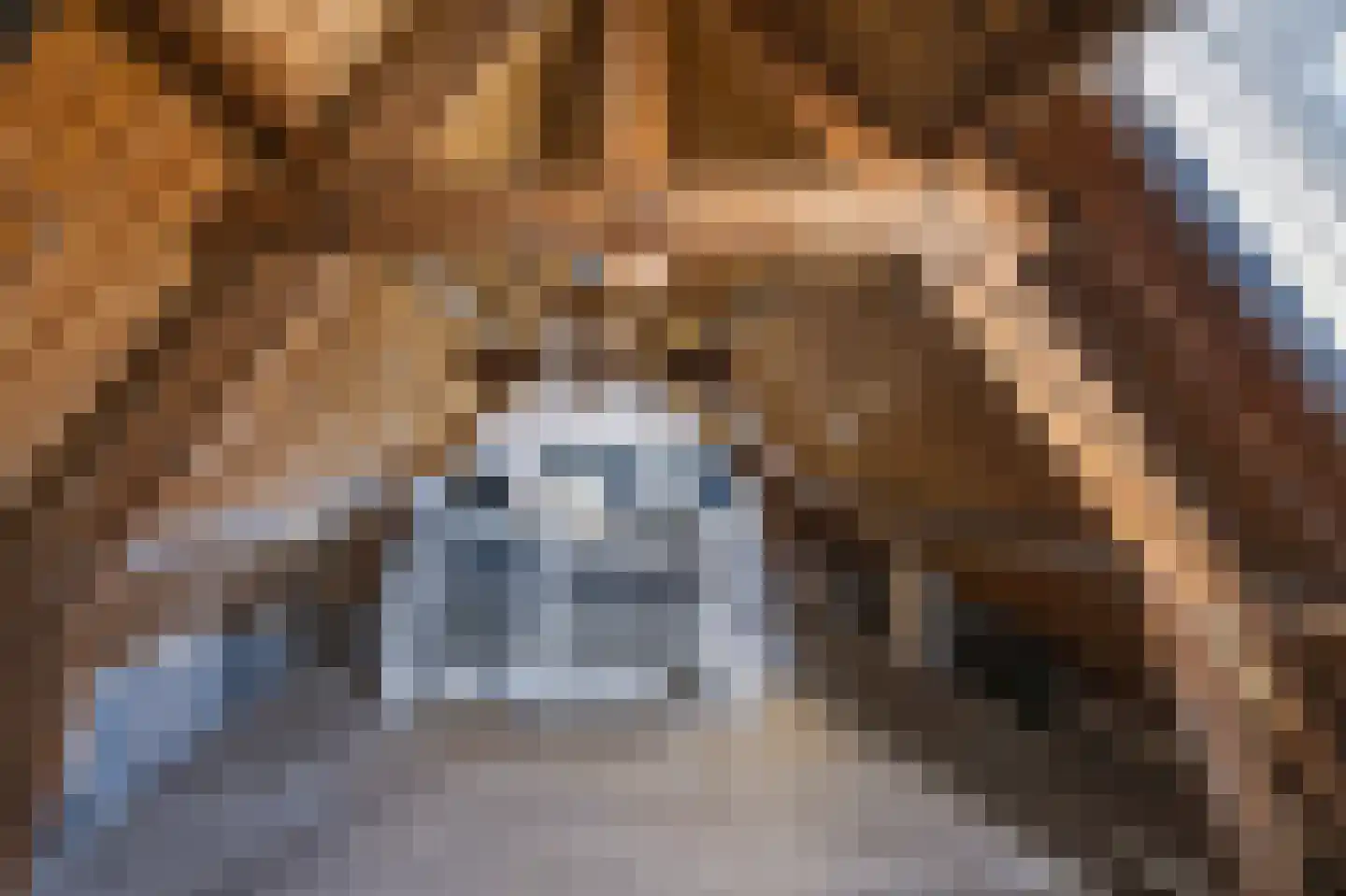 Zwarteweg 39 Milsbeek thumbnail 34