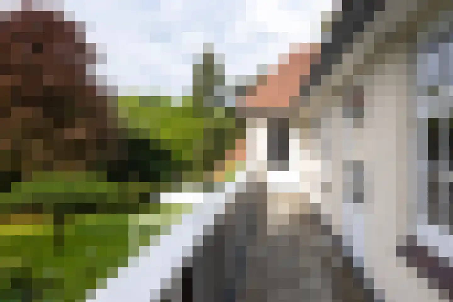 Zwarteweg 4 Aerdenhout thumbnail 32