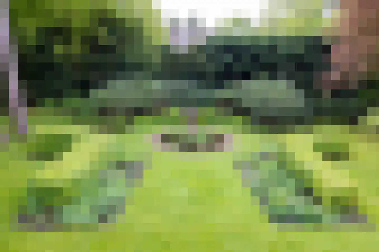 Zwarteweg 4 Aerdenhout thumbnail 33