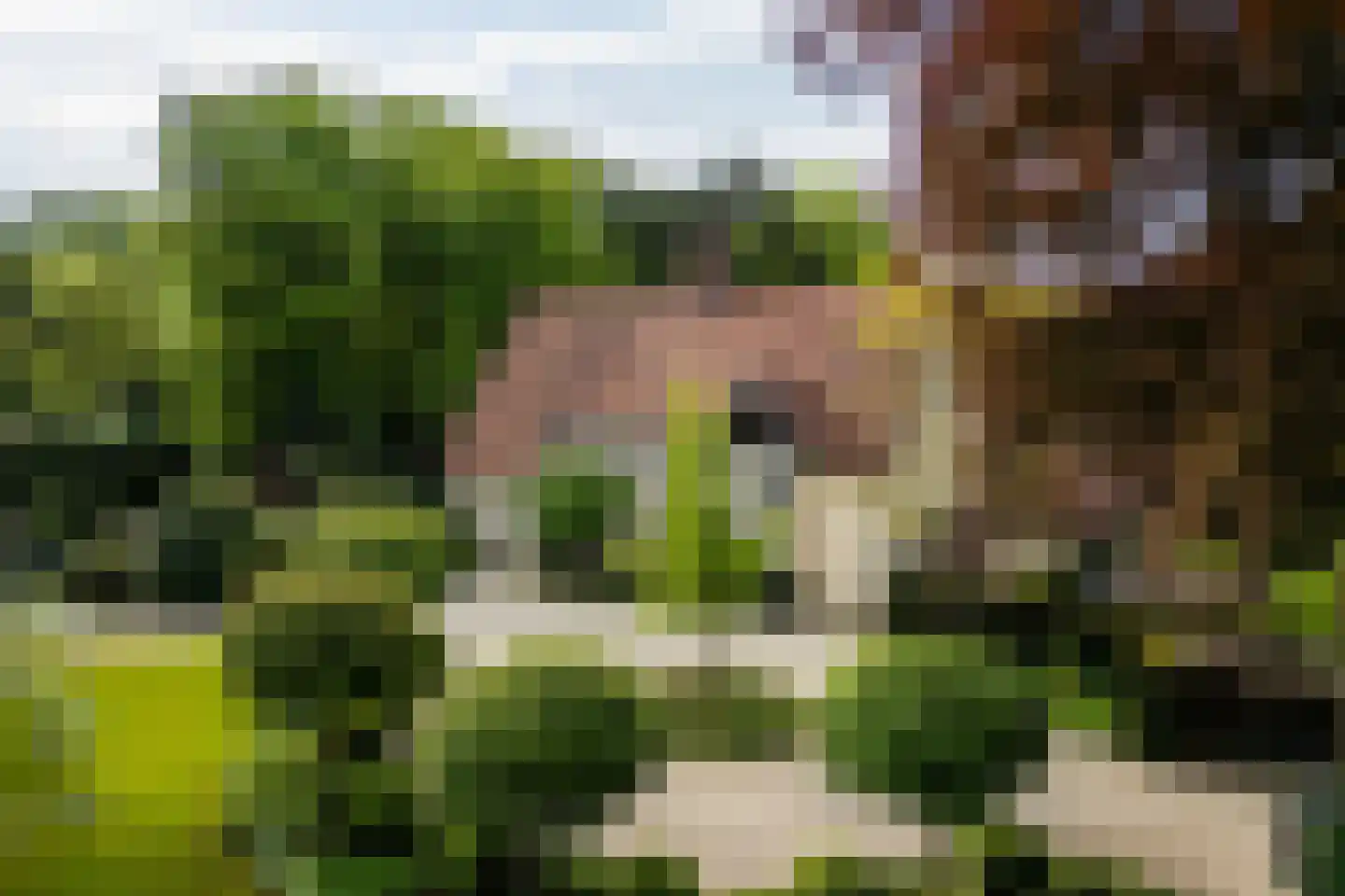 Zwarteweg 4 Aerdenhout thumbnail 4