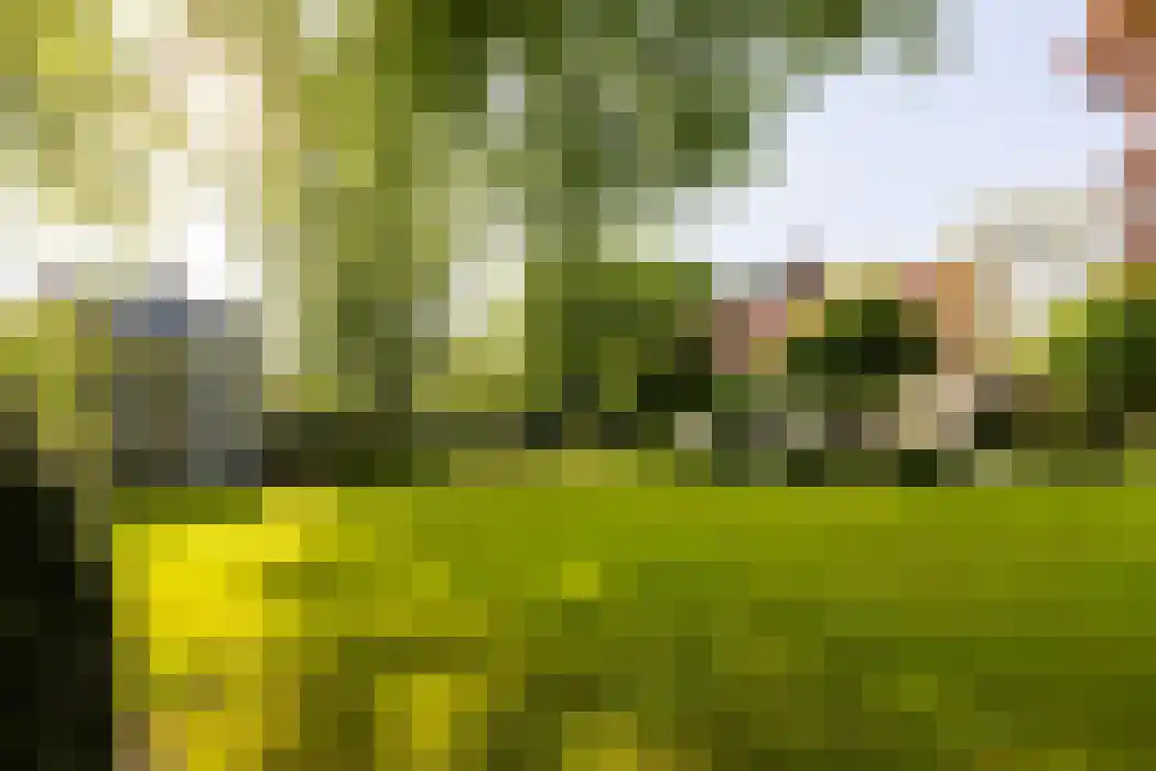 Zwarteweg 4 Aerdenhout thumbnail 5