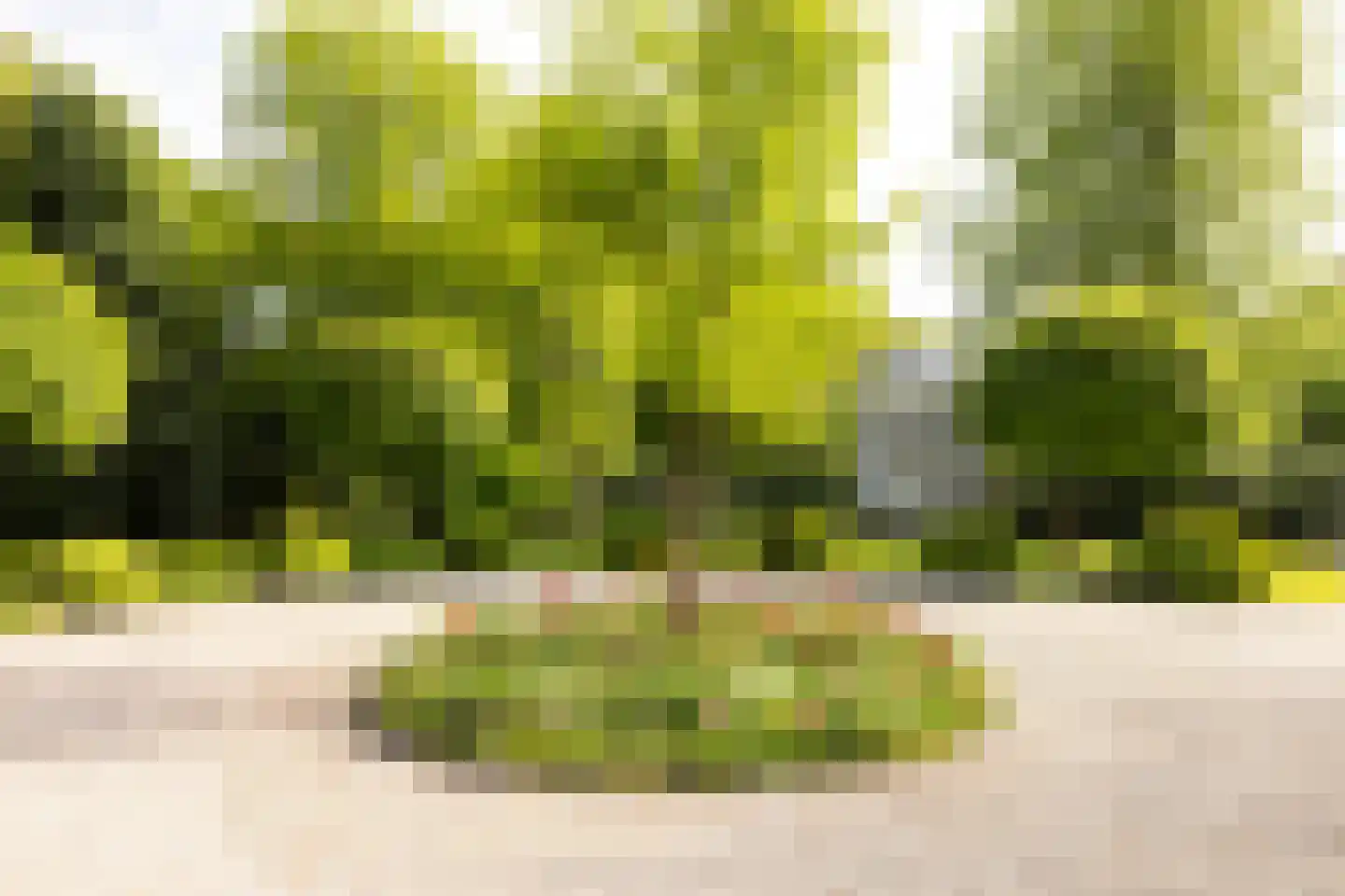 Zwarteweg 4 Aerdenhout thumbnail 50