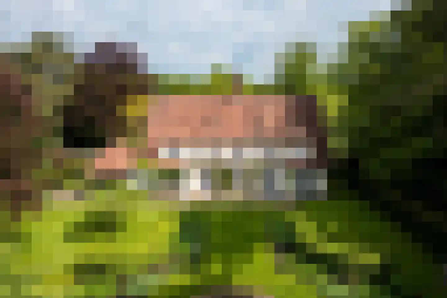 Zwarteweg 4 Aerdenhout thumbnail 62