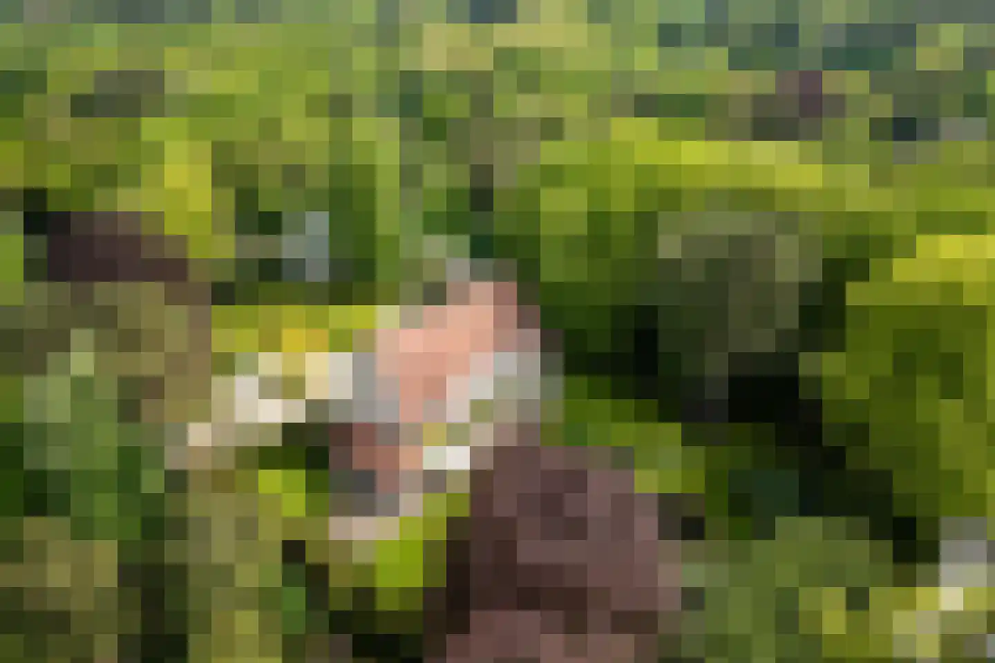 Zwarteweg 4 Aerdenhout thumbnail 64