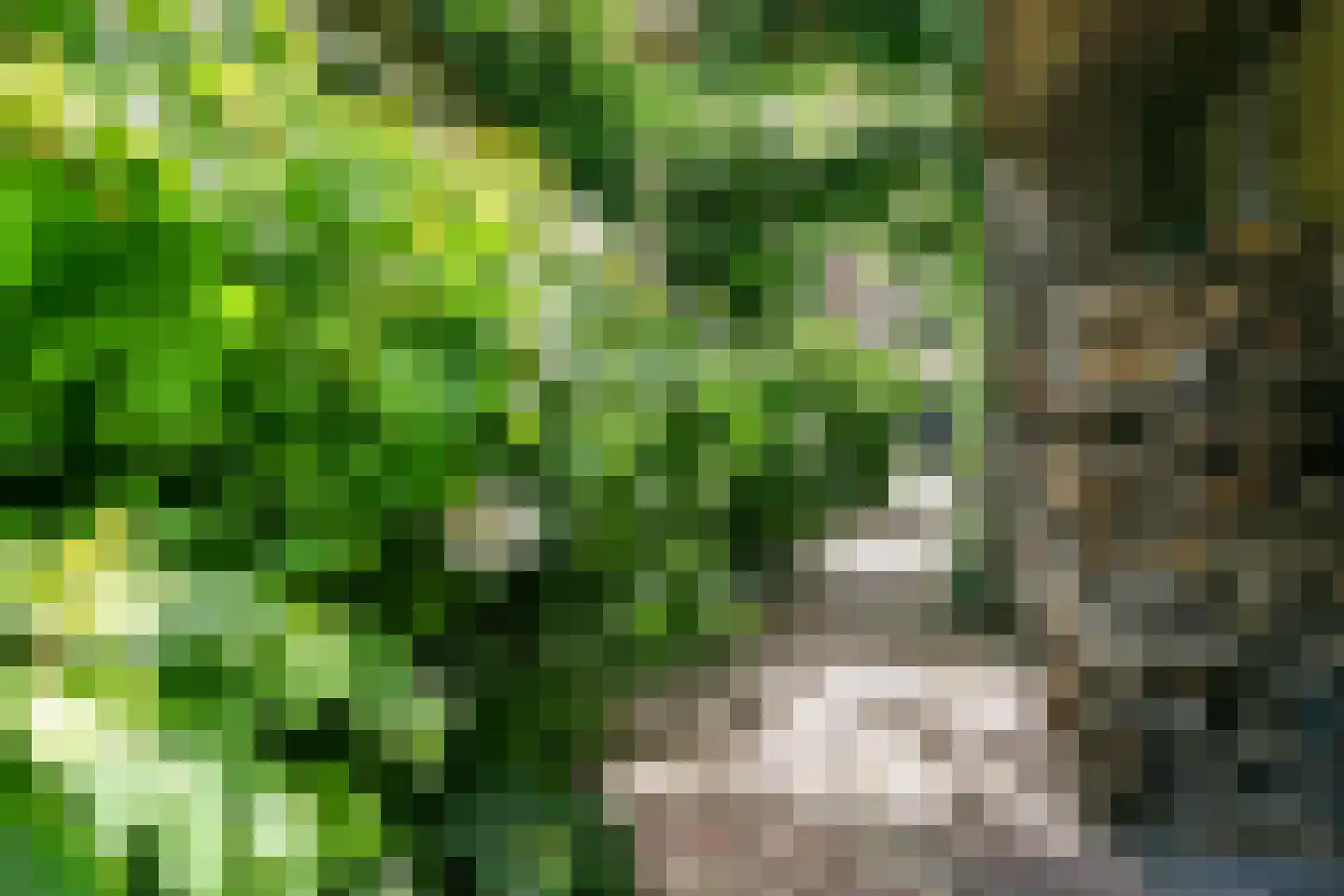 Zwarteweg 4 Vijfhuizen thumbnail 35