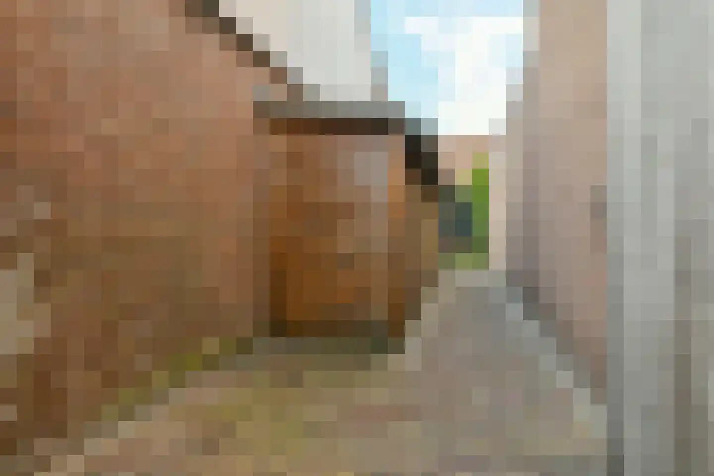 Zwarteweg 4 Vijfhuizen thumbnail 37