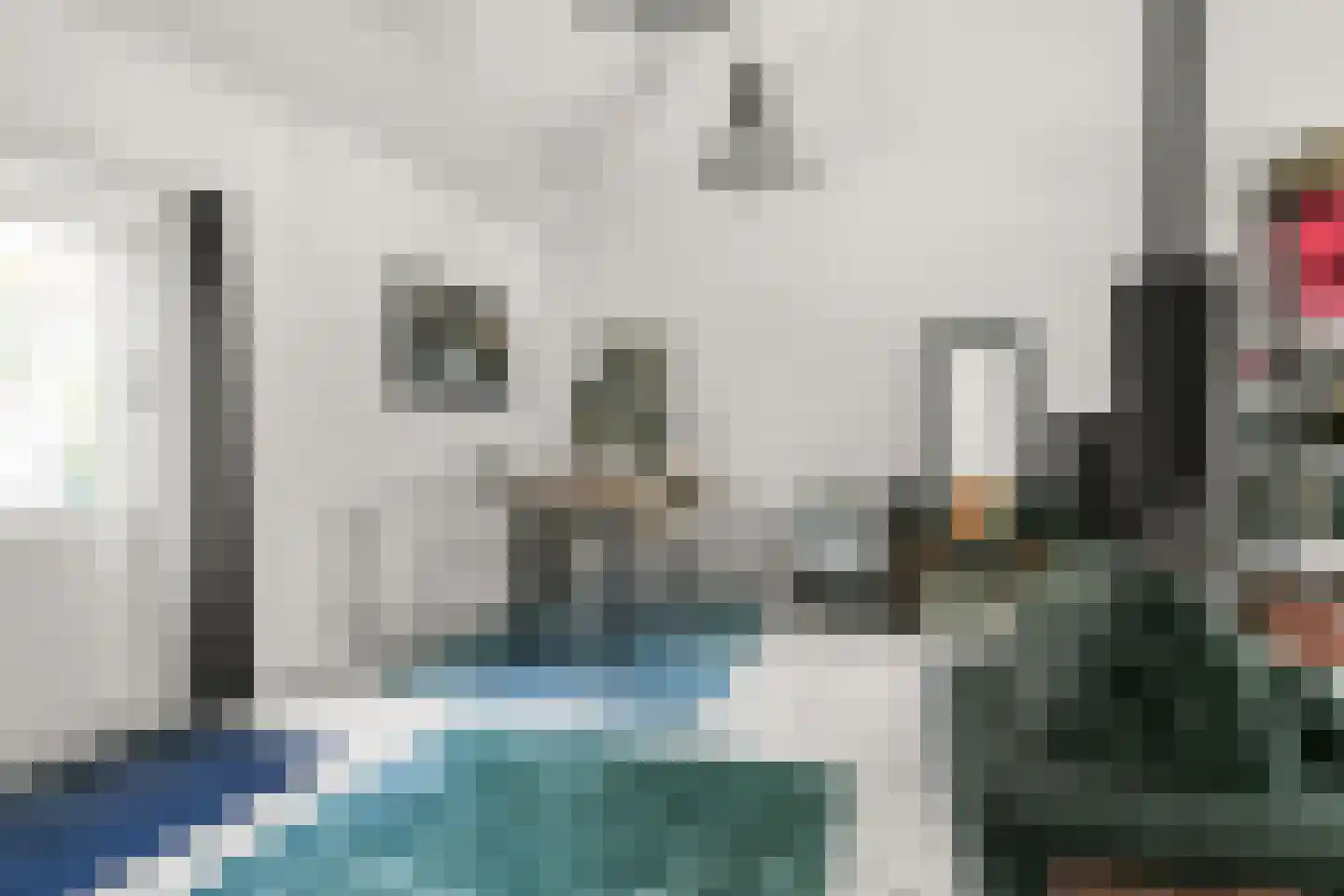 Zwarteweg 4 Vijfhuizen thumbnail 8