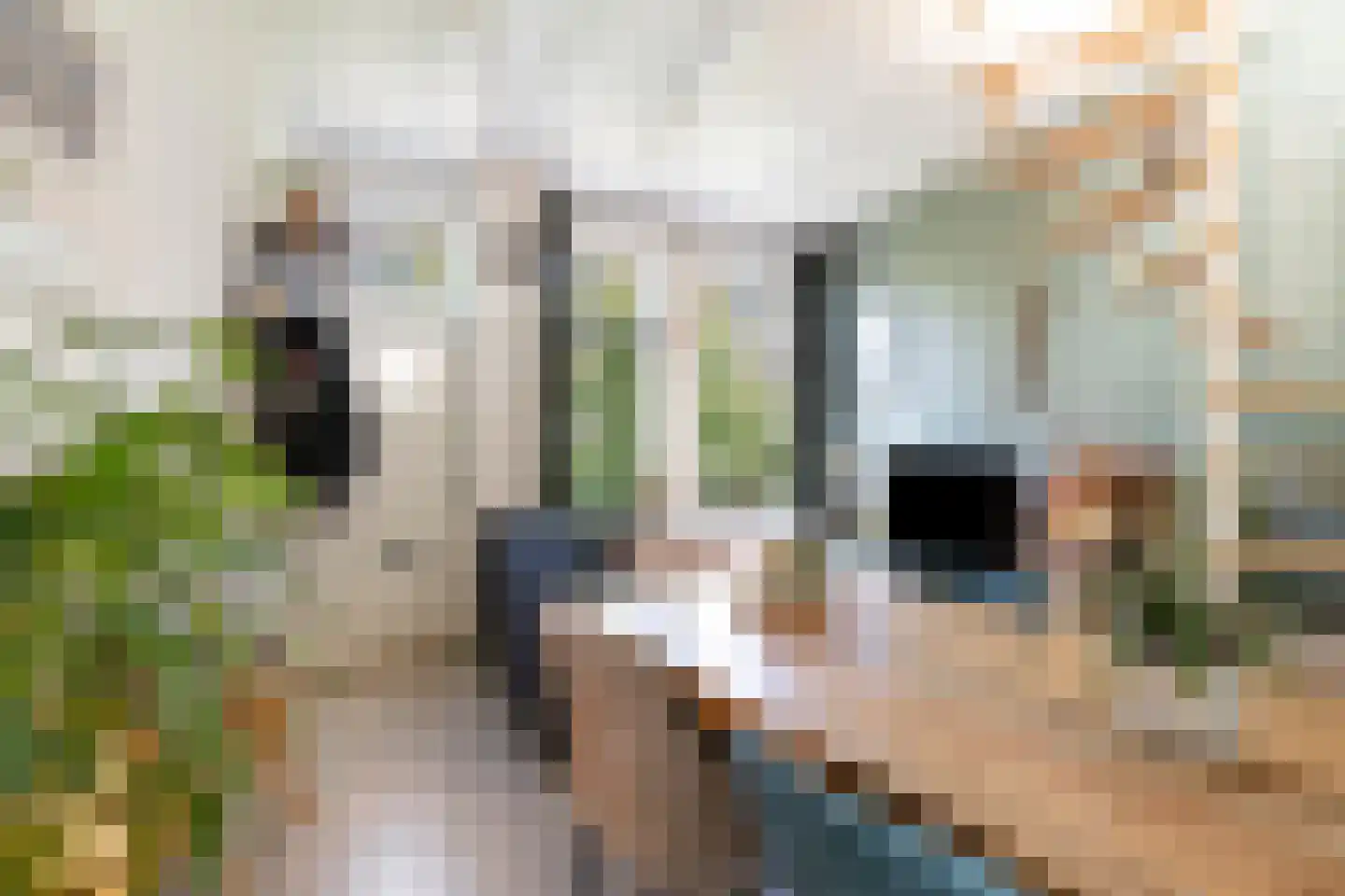Zwarteweg 44 Groningen thumbnail 11
