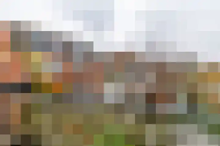 Zwarteweg 48 Groningen thumbnail 32