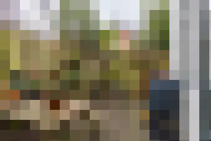Zwarteweg 48 Groningen thumbnail 4
