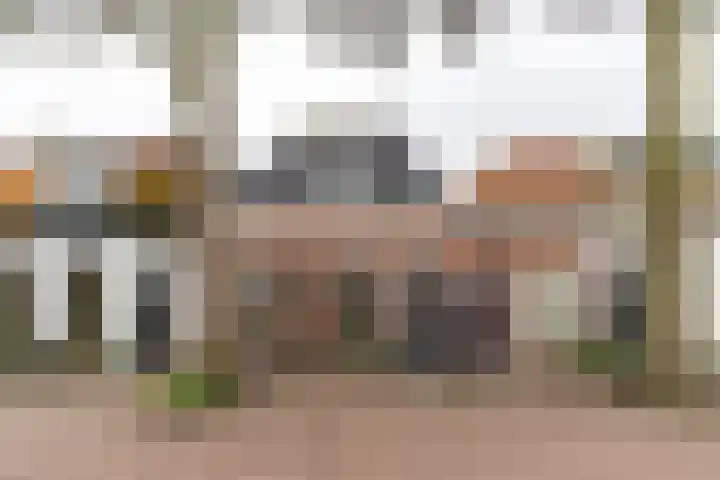 Zwarteweg 48 Groningen thumbnail 6