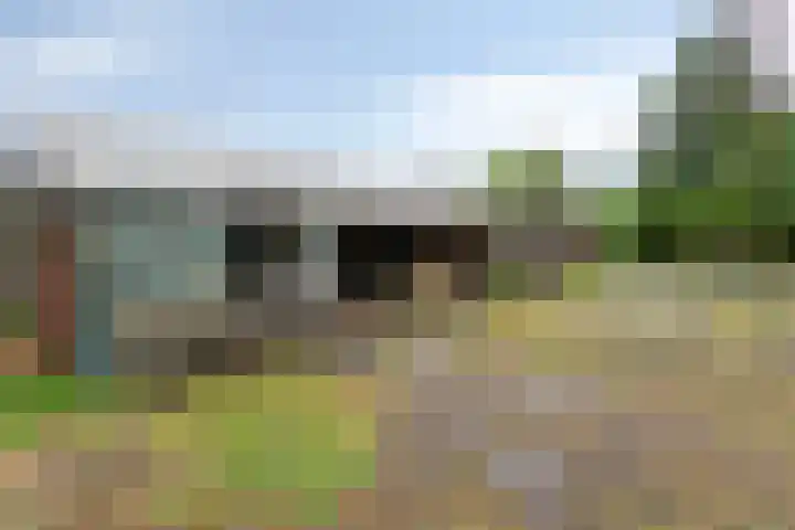 Zwarteweg 5 Emst thumbnail 10