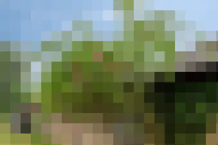 Zwarteweg 5 Emst thumbnail 12