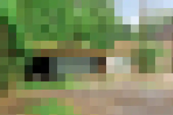 Zwarteweg 5 Emst thumbnail 13