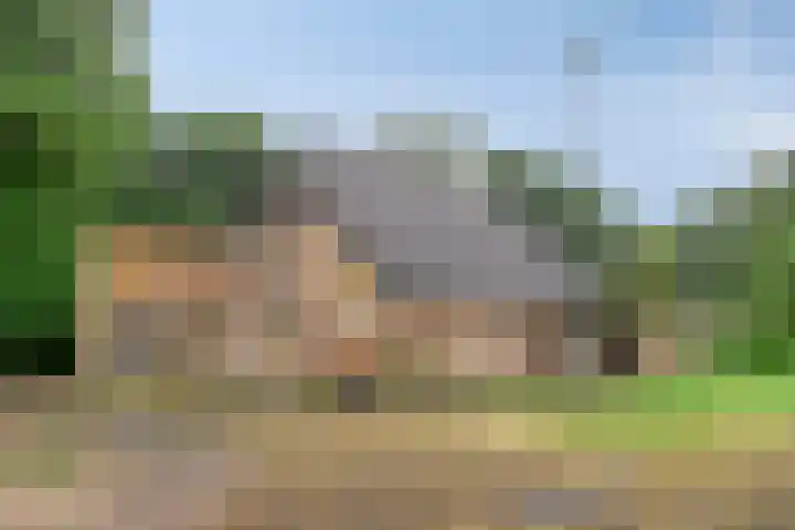 Zwarteweg 5 Emst thumbnail 14