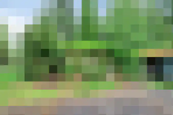 Zwarteweg 5 Emst thumbnail 15