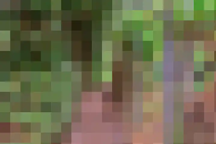 Zwarteweg 5 Emst thumbnail 16