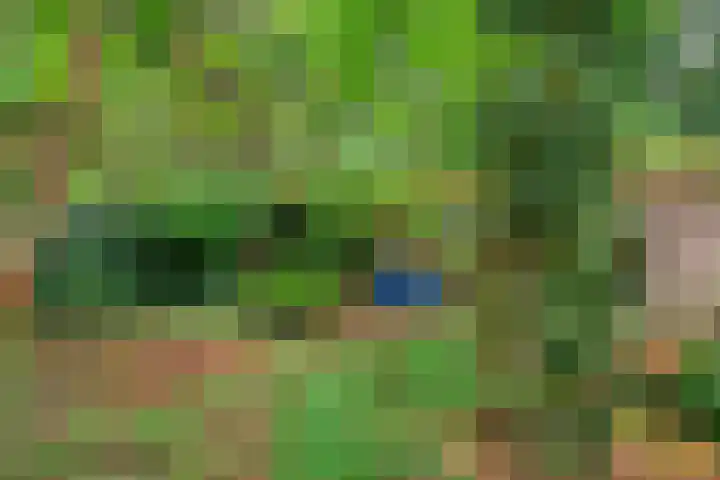 Zwarteweg 5 Emst thumbnail 17