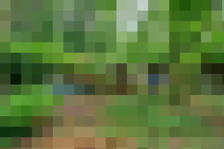 Zwarteweg 5 Emst thumbnail 18