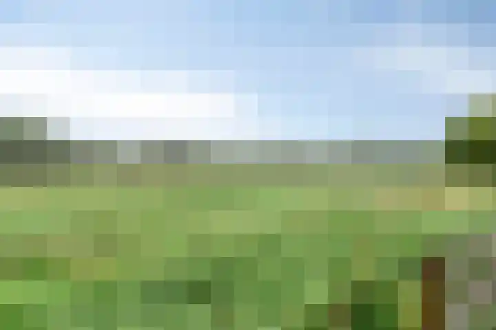 Zwarteweg 5 Emst thumbnail 19