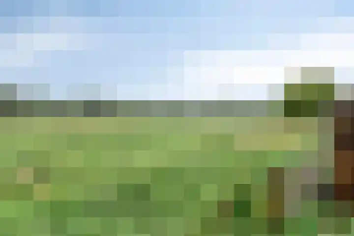 Zwarteweg 5 Emst thumbnail 20