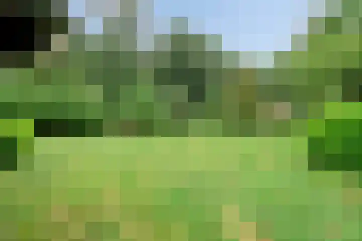 Zwarteweg 5 Emst thumbnail 21